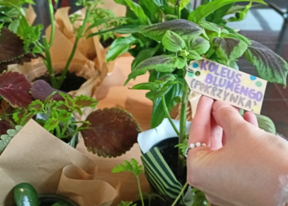 „Poczuj miętę do BUG – adoptuj roślinę”. Relacja z wydarzenia