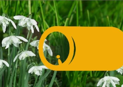 Życzenia. Na zdjęciu pierwiosnki oraz logo Biblioteki UG: kapsuła w żółtym kolorze.