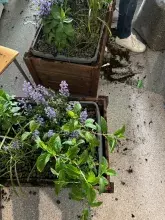 Ogród społeczny „Zielona Przystań” w BUG