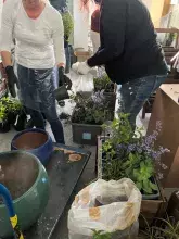 Ogród społeczny „Zielona Przystań” w BUG