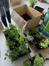 Ogród społeczny „Zielona Przystań” w BUG