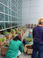 Ogród społeczny „Zielona Przystań” w BUG