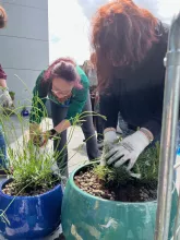 Ogród społeczny „Zielona Przystań” w BUG