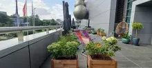 "Zielona Przystań" została wyposażona w meble ogrodowe