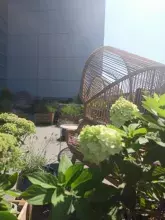 "Zielona Przystań" została wyposażona w meble ogrodowe