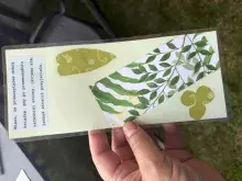 Biblioteka UG na 5. Pikniku Nauki Fahrenheita - warsztaty  