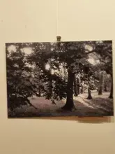"Światło jako szum. Wernisaż wystawy fotografii Sławomira Płatka - relacja 
