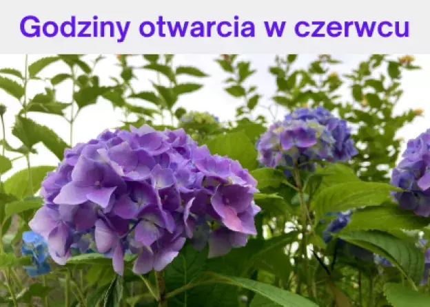 Czerwcowe godziny otwarcia BUG
